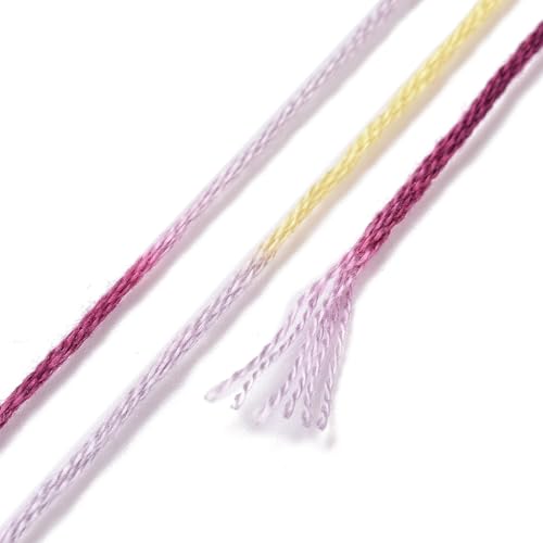 Cross Stitch Floss 10 Skeins Variegated Embroidery String 6 Strands Segment Dyed Polyester for Friendship Bracelet Needlepoint Sewing Knitting Crafts (Purple) - color: Purple