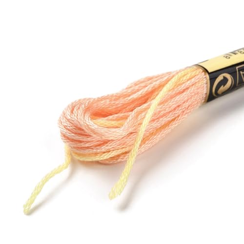 Cross Stitch Floss 10 Skeins Variegated Embroidery String 6 Strands Segment Dyed Polyester for Friendship Bracelet Needlepoint Sewing Knitting Crafts (Navajo White) - color: Navajo White