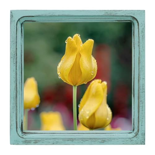 CVHOMEDECO. 8x8 Picture Frame Made of Solid Wood High Definition Glass Rustic Vintage Designs Small Photo Frame for Tabletop Display and Wall Mounting, Distress Blue - color: Distress Blue A, size: 8" X 8"