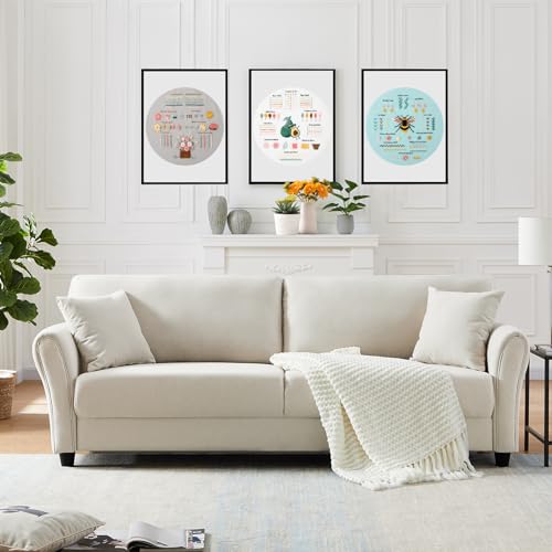JOINRUN Beginner Embroidery Kit for Adults, 3 Pack with Video Tutorial - color: Bee