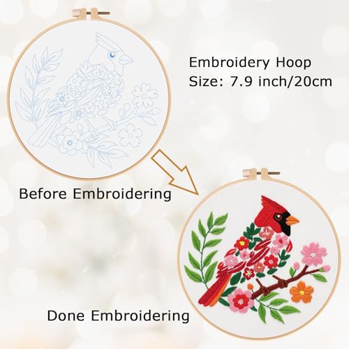Louise Maelys Cardinal Embroidery Kit, Cross Stitch Kit for Beginne - color: birds
