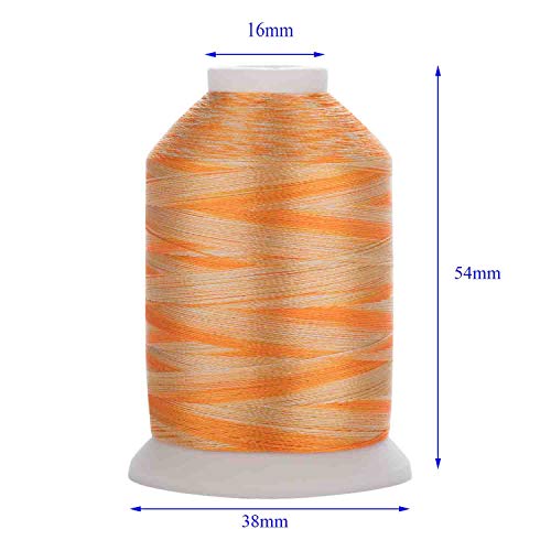 Simthreads 12 Variegated Colors Embroidery Machine Thread 1100 Yards Each for Janome Brother Pfaff Babylock Singer Bernina Husqvaran and Most Sewing Embroidery Machines - color: 12Va-3
