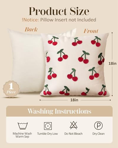 Embroidered Throw Pillow Cover 18x18 Inch, Little Cherry - color: Little Cherry, size: 18" x 18" (Pack of 1)