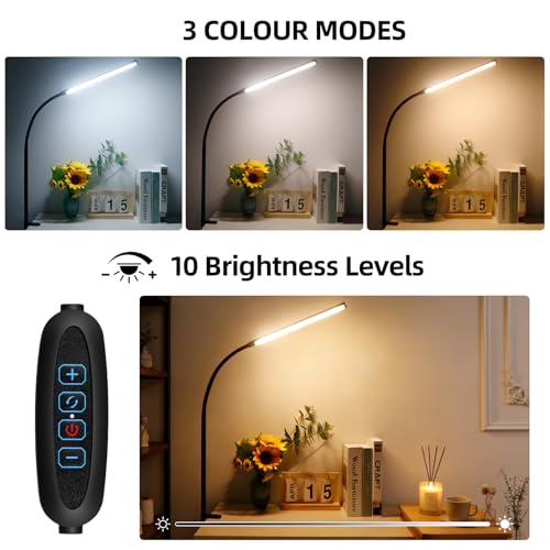 Clip on Desk Lamp with Clamp,Dimmable Eye Caring Book Reading Light for Bed