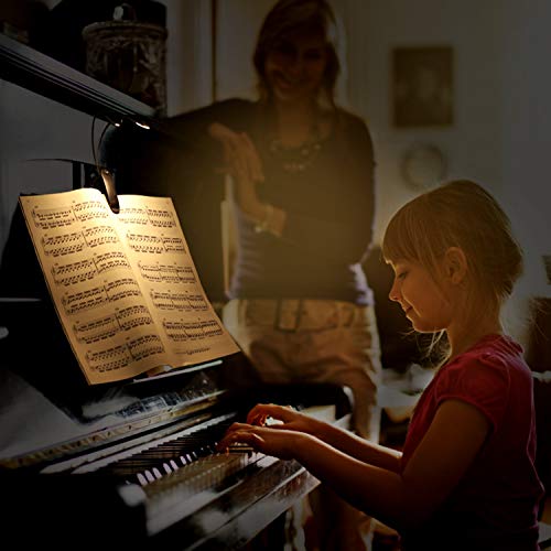 Rechargeable Music Stand Light, Clip on Reading Light, 8 LED Book Lamp, 3-Level Brightness for Eye Protection, Perfect for Piano, Orchestra, Bookworms, Craft (White & Warm, Dual Arm)