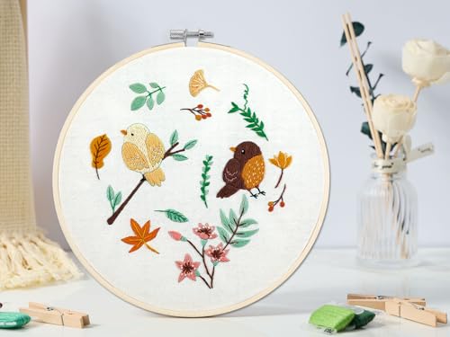 Bonroy 4 Sets Embroidery Set for Beginners, Art Craft, Easy Sewing, Includes Embroidery Clothing, Pattern, Embroidery Hoop, Instruction Manual, Colorful Thread Needles Set (6 Pieces) - color: Bird