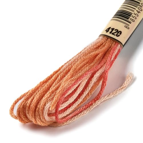 10 Skeins Light Salmon 0.5mm 6-Ply Polyester Embroidery Floss Cross Stitch Threads Segment Dyed Gradient for DIY Craft Hand Sewing Knitting DIY Crafts Jewelry Making 8.75 Yards(8m)/Skein - color: Light Salmon