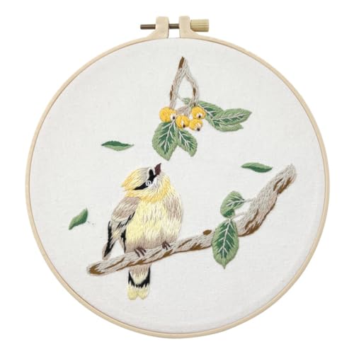 Meecaa Fruit Bird Embroidery Kit Starter Set, Hand Embroidery Set,Pattern Printed Cross Stitch Set for Beginner Adults, with Embroidery Hoop and Instructions (Fruit Bird) - color: Fruit Bird