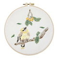 Meecaa Fruit Bird Embroidery Kit Starter Set, Hand Embroidery Set,Pattern Printed Cross Stitch Set for Beginner Adults, with Embroidery Hoop and Instructions (Fruit Bird) - color: Fruit Bird