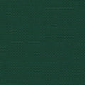 Zweigart Aida 16 Count Fabric – Ivy (647), 39.4" x 39.4", Large 100% Cotton Embroidery Cloth for Cross Stitch & DIY Crafts - color: Ivy (647), size: 39.4" x 39.4"