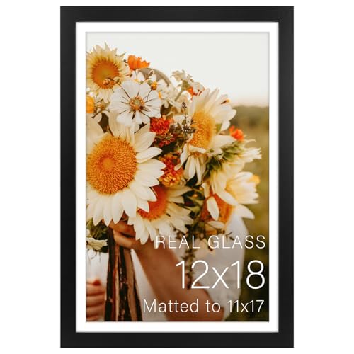 Golden State Art 12x18 Black Picture Frame Mat for 11x17 Real Glass - color: Black, size: 12x18