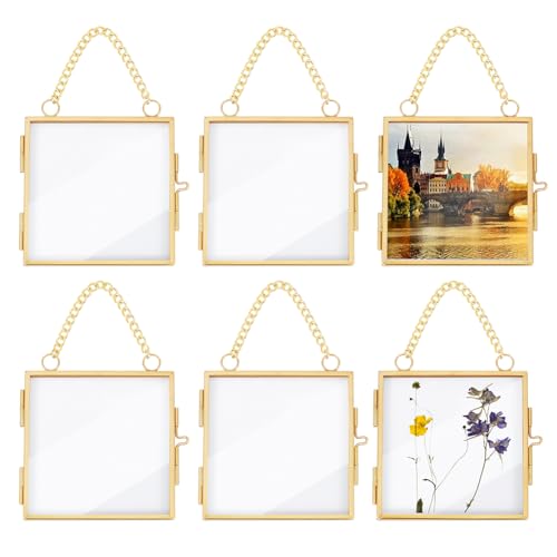 OLYCRAFT 6pcs Mini Hanging Glass Frame 2.9 Inch Wall Hanging Photo Frames Double Glass Picture Frame with Chain Alloy Frame DIY Vintage Artwork Display Frames for Pressed Flowers Pictures Home Wall - size: 2.9 Inch