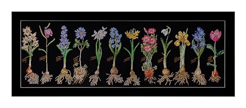 Thea Gouverneur - Counted Cross Stitch Kit - Bulbs - Aida Black - 18 Count - Embroidery Kit for Adults - DMC Embroidery Threads and Other Cross Stitch Supplies Included - 1087.05