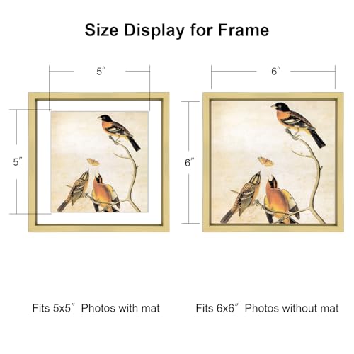BKABOT 6x6 Brass Metal Photo Frame HD Glass 1 Pack, 5x5 Mat Tabletop & Wall - color: Brass, size: 6x6-1P