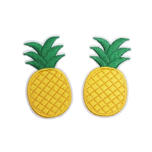 2PCS Embroidery Patches with Pineapple Pattern,Iron-on/Sew-on,1.22 * 2.13inches - style: 2pcs Pineapple Patch