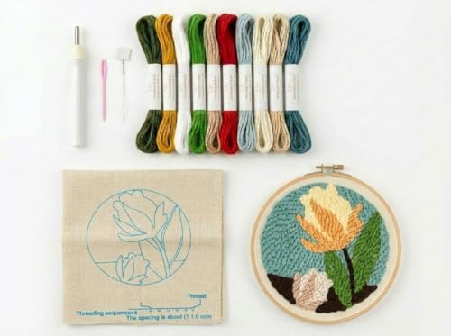 Punch Needle Kit for Beginners, DIY Embroidery Set with 20+ Patterns(Tulip) - color: Tulip