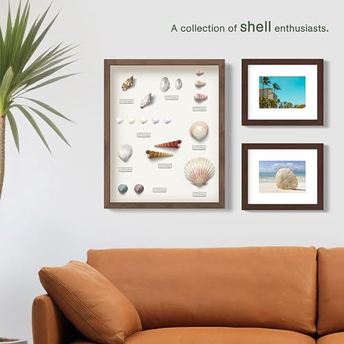 FrameWorks Mahogany Wooden Shadow Box Frame - 8' x 10' Display Case with Soft Felt Back, Tempered Glass, Elegant White Ball Push Pins - color: Mahogany, size: 8"x10"