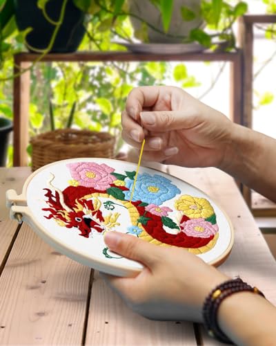 TINDTOP Embroidery Kit for Beginners Adult, Dragon Embroidery Kit for Beginners Include Embroidery Cloth Hoops Threads for Craft Lover Hand Stitch with Embroidery Skill Techniques - color: Dragon
