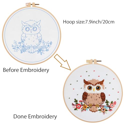 Louise Maelys Cute Owl Embroidery Kit for Beginners Animal DIY - color: Color 24