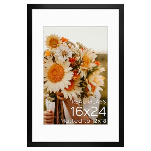 Golden State Art 16x24 Black Picture Frame Mat for 12x18 Real Glass - color: Black, size: 16x24