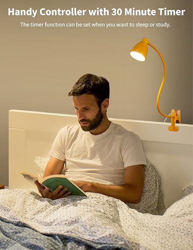 BOHON Clip on Light, Desk Lamp with Clamp, 5 Color 10 Brightness Yellow - color: Bright Yellow