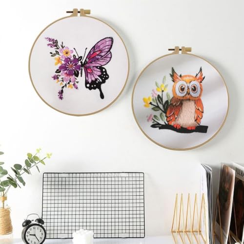 Embroidery Starter Kit for Adult Beginner with Owl Pattern Hand Stitch Set - color: Owl