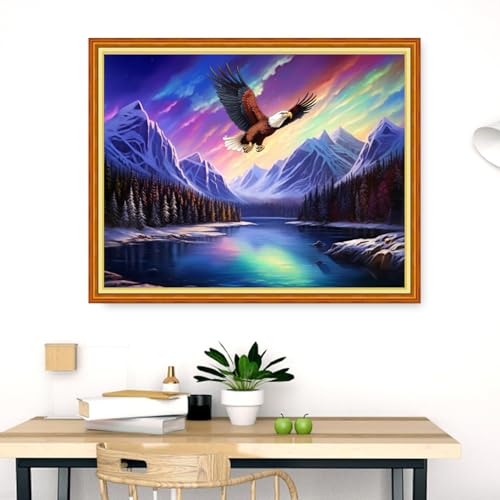 Dimensean Stamped Cross Stitch Kits Full Range of Embroidery Patterns Starter Kits for Beginners Adult DIY Cross Stitches Needlepoint Kits 11CT-Aurora Lake Scenery 16x20 inch - color: Craftpattern04