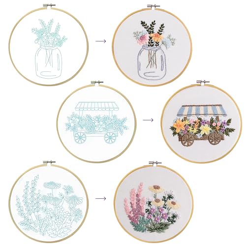 Looples Embroidery Kit for Beginners and Adults with Video Tutorials – DIY Starter Kit with 3 Stamped Floral Patterns, Hoops, Threads, Needles, and Instructions - Cart, Glass Jar, and Flowers - color: Cart, Jar and Flowers