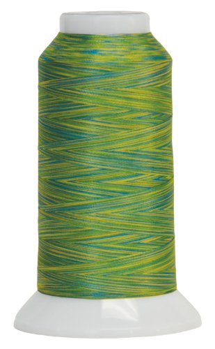 Superior Threads Fantastico 2-Ply 40-Weight High Strength Polyester Embroidery Quilting Sewing Thread - 2,000 Yard Cone (#5039 Aloha) - color: Aloha