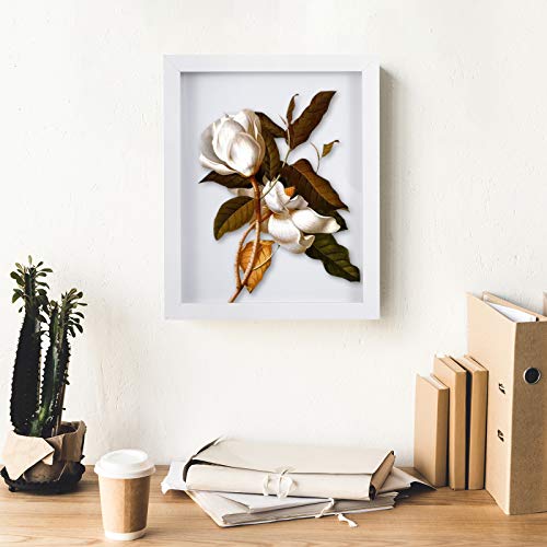 Muzilife 8x10 Shadow Box 3D Picture Frames, Wood & Glass, 3 Pack, White - color: 3pc 8x10-white