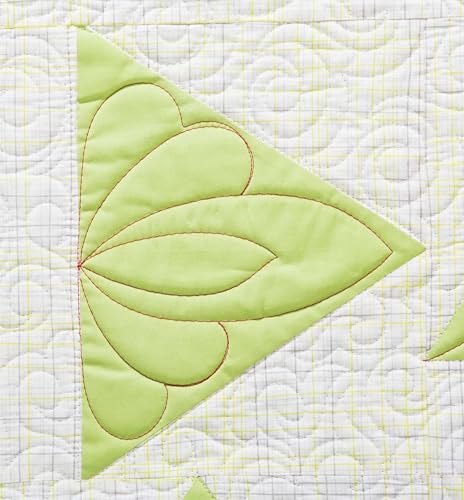 Shape by Shape Free-Motion Quilting with Angela Walters: 70+ Designs for Blocks, Backgrounds & Borders