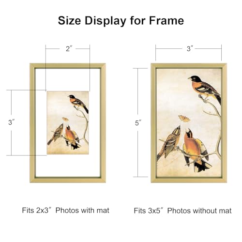 BKABOT 3x5 Brass Aluminum Photo frames 3 Pack HD Glass Mat 2x3 Wall Table - color: Brass, size: 3x5