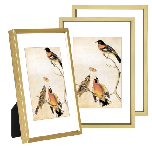 BKABOT 3.5x5 Brass Photo frames 3 Pack HD Glass Mat 2.5x3.5 Wall Table - color: Brass, size: 3.5x5