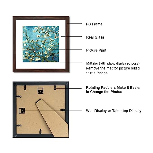 11x11 Picture Frame Set of 6 with Real Glass for Pictures 8x8 with Mat or 11x11 Without Mat, Wall Gallery or Tabletop display Photo Frames in Walnut - color: Walnut, size: 11x11(set of 6)