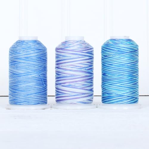 ThreadArt Variegated Cotton Thread Set, 600M 40/3, 3 Cones Blue Shades - color: VARIEGATED BLUE COLORS