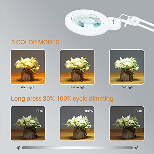 Bifocal Magnifying Lamp with Clamp, 5D with 20D, White - color: White
