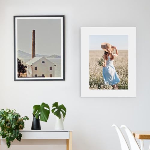 10 Pack 16x20 White Backing Boards, Uncut 16x20 Mat Board - size: white 10pc backings 16x20