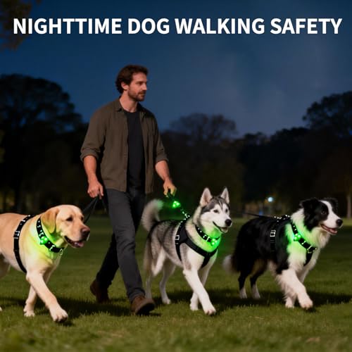 LaRoo Dog Lights - Led Collar Lights for Nighttime Walking - color: Green-A