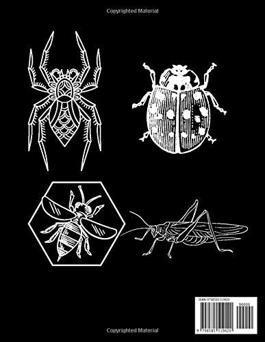 Insect Embroidery Pattern Book: 50 line art patterns (Embroidery and needlework resources)