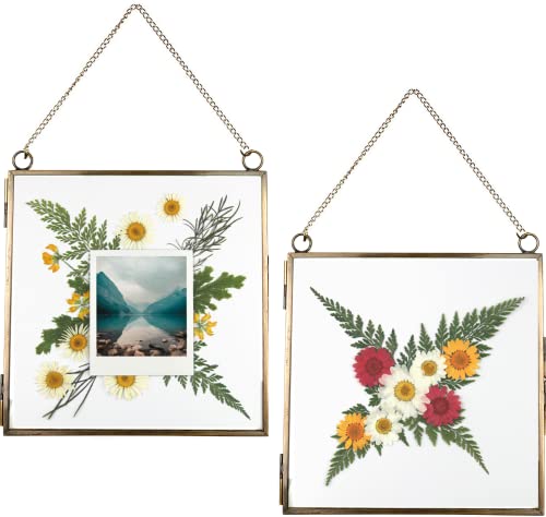 Glass Frame for Pressed Flowers, Leaf and Artwork - Hanging Square Metal Picture Frames, Double Glass Floating Frame, Wall Decor Photo Display, Flower Press Frames with Chain (Antique bronze, 8x8) - color: Antique bronze, size: 8x8