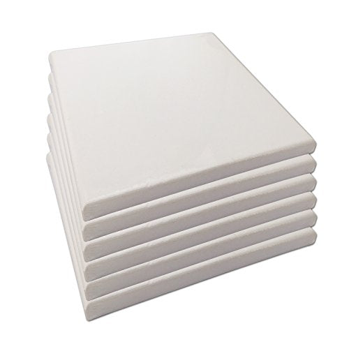 LWR CRAFTS Stretched Canvas 8" X 8" Pack of 6 - size: 8"x8"x6 (standard)