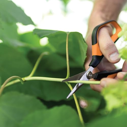 Fiskars 7" Loop Micro-Tip Pruning Shears, Garden Snips for Intricate Cuts, Flower (Pack of 6) - style: Micro-Tip Shears (Pack of 6)