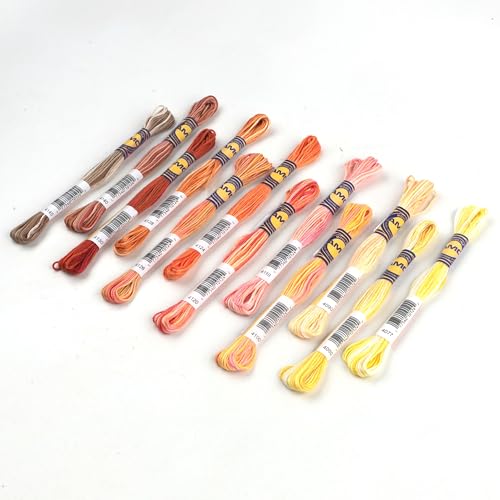 12 Skeins Variegated Mercerized Egyptian Cotton Gradient Color for Embroidery Floss Cross Stitch Threads Friendship Bracelets Floss Craft Floss (12 Colors Set B) - color: 12 colors set B