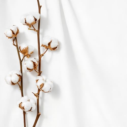 100% Cotton Fabric 10 Yards 59 Inch Width White - color: White, size: 10 YARDS