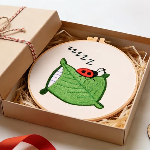 Embroidery Kits for Beginners Adults, Cute Hand Embroidery Starter Kit, Cross Stitch Kits for Beginners DIY Craft Kits for Adults Women, Entire Set of Embroidery Supplies【Full-Length Video Tutorial】 - color: H2062, size: 8Inch