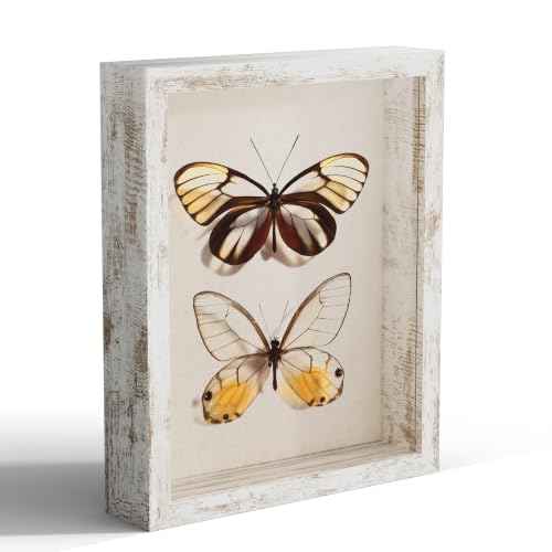 8x10 Shadow Box Picture Frame Display Case with Soft Linen Back, Distressed White Wooden Memory Shadow Box Frame with Tempered Glass Cover for Wall or Tabletop Display - color: Distressed White, size: 8x10