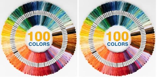 Sukh 100 Colour Embroidery Thread - Rainbow Embroidery Floss Bulk for DIY Sewing & Crafts (Pack of 2) - size: 100 foot (Pack of 2)
