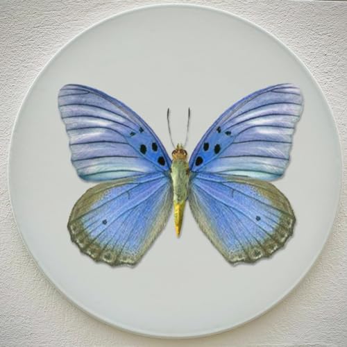 3 Sheets Butterfly Rub on Transfers Waterproof Furniture Transfers Decals Vintage Butterfly Flower Rub on Decals Wood DIY Transfer Stickers for Door Wall Cabinet Crafts Home Decor 6" x12" - style: Butterfly