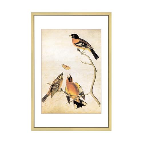 BKABOT 6x9 Brass Picture Frame HD Glass 1 Pack 5x7 Mat Tabletop & Wall - color: Brass, size: 6x9-1P