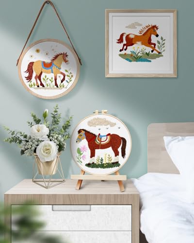 TINDTOP Embroidery Kit for Adult, 3 Pack Embroidery DIY Starter Kit - color: Horse